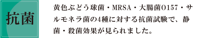 お庭時間