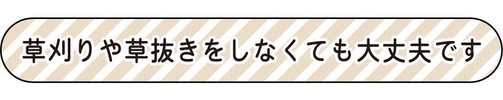 お庭時間